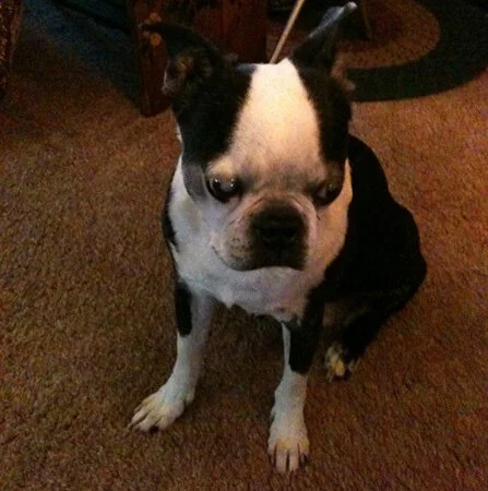 CHUNK