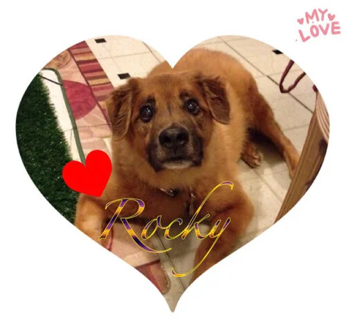 Rocky