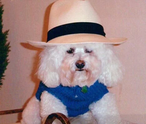 RANGER