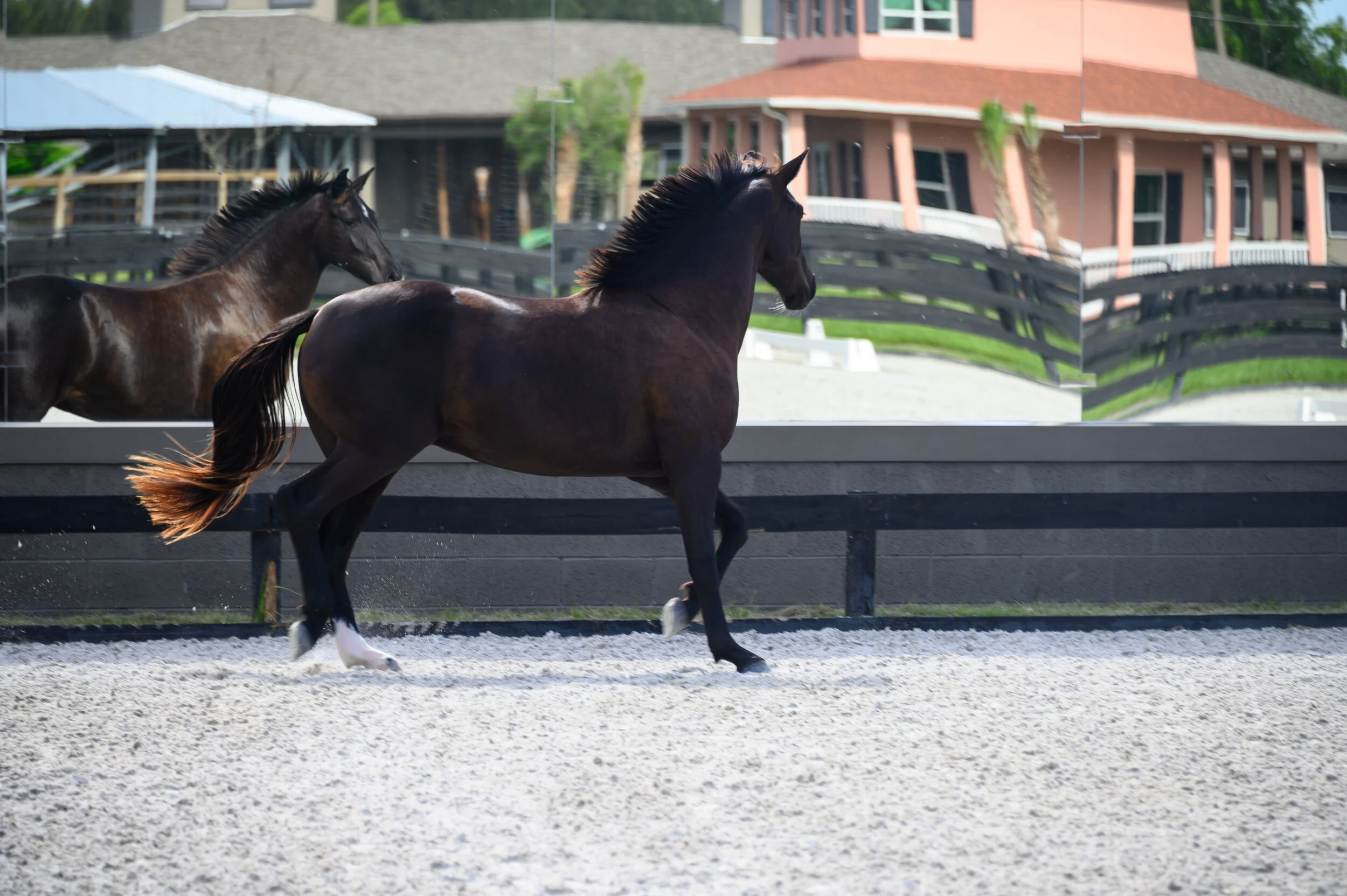 Poinciana Farm Wellington Dressage Barn