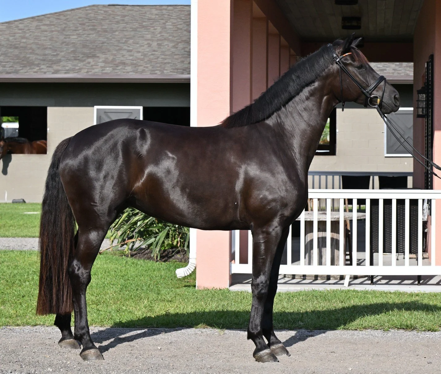 Malena Clubhouse 2.JPG