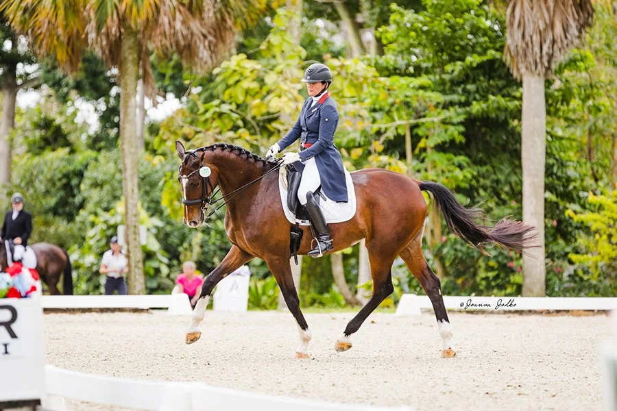 WFSI012424-4061 Web Personal Sera PSG trot.jpg