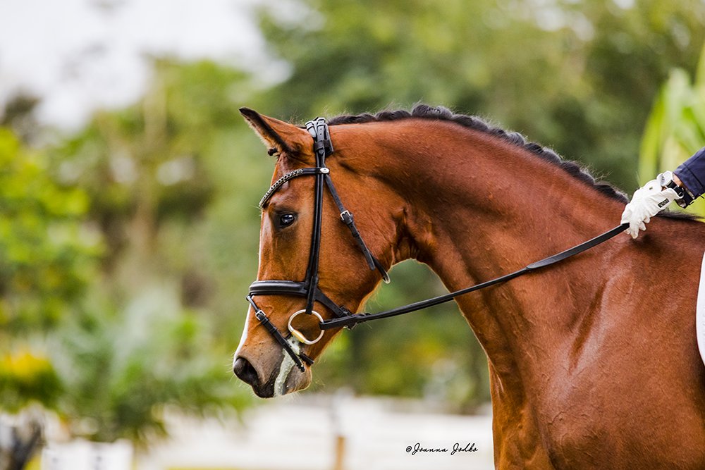 WBWFI013026-7229 Web Personal (2).jpg