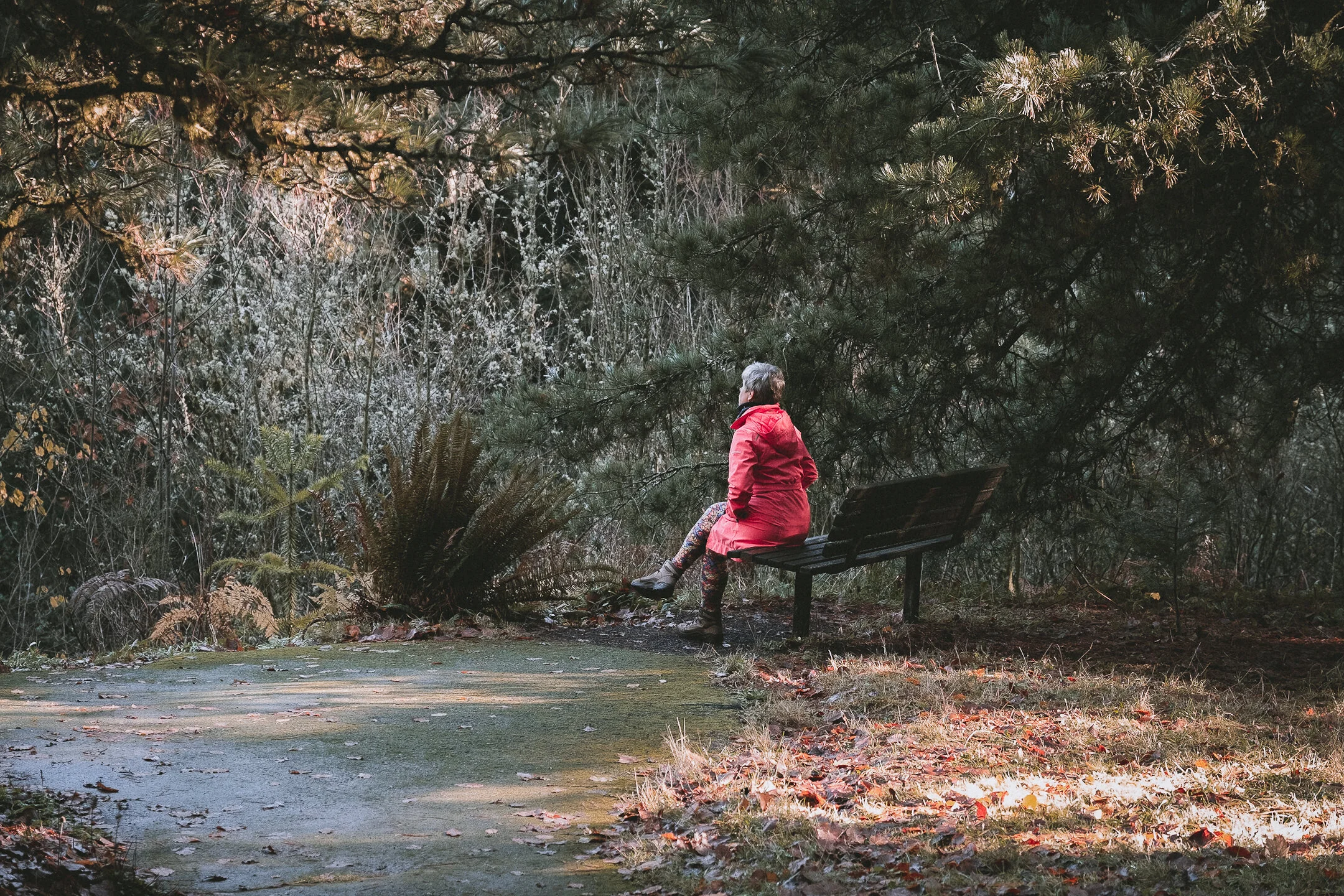 Recent Highlights #2