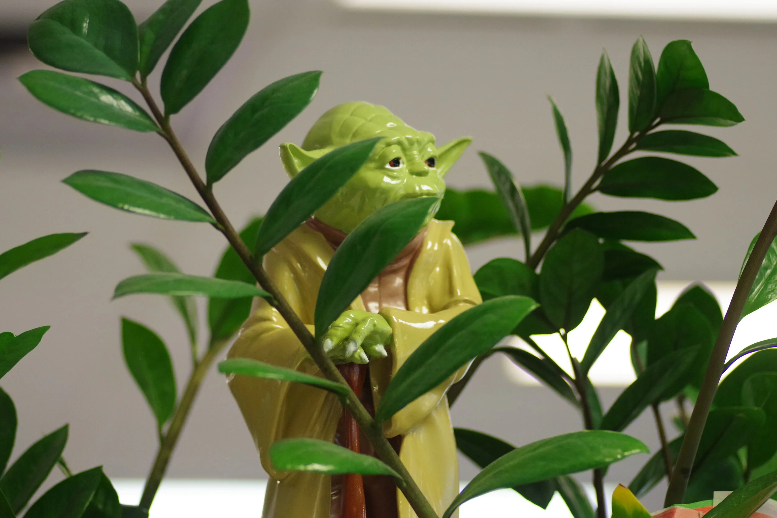 May the 4th Be with You…