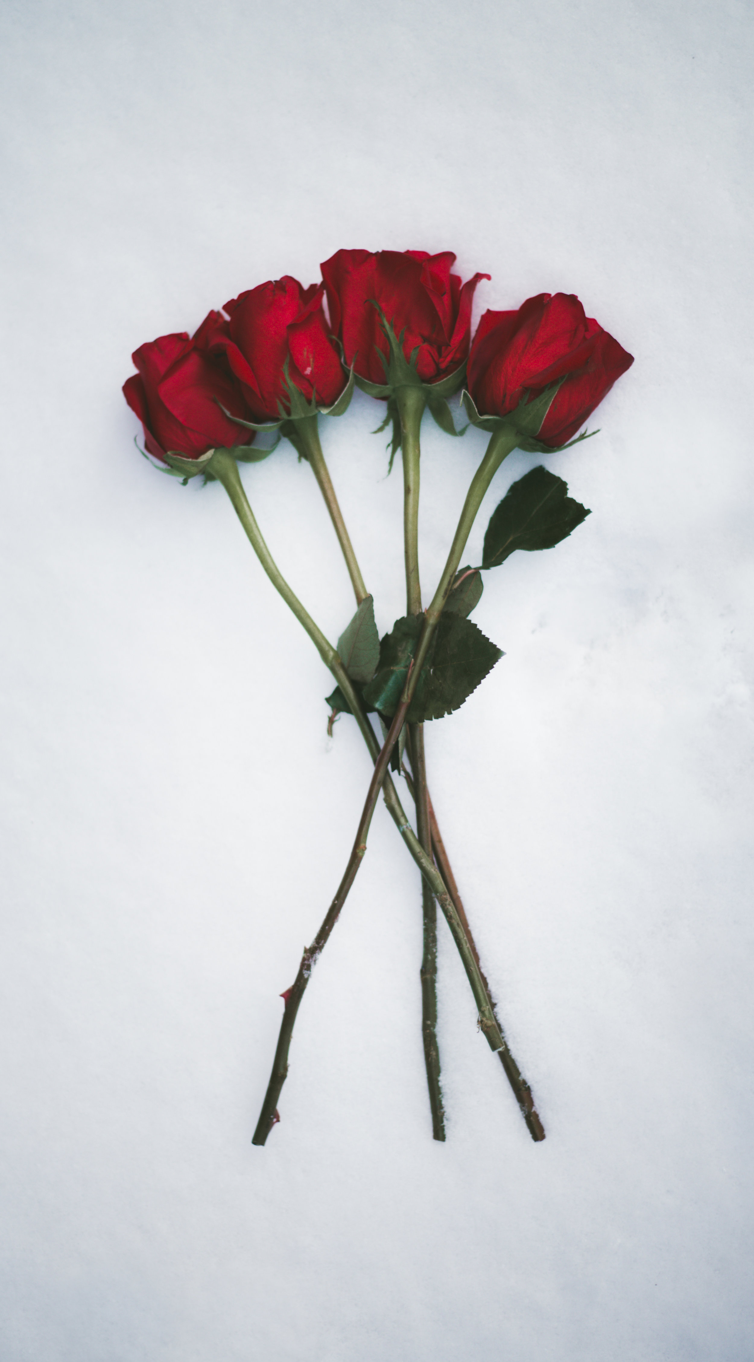 Shows to Distract you Until the Latest Season of The Bachelorette Airs…