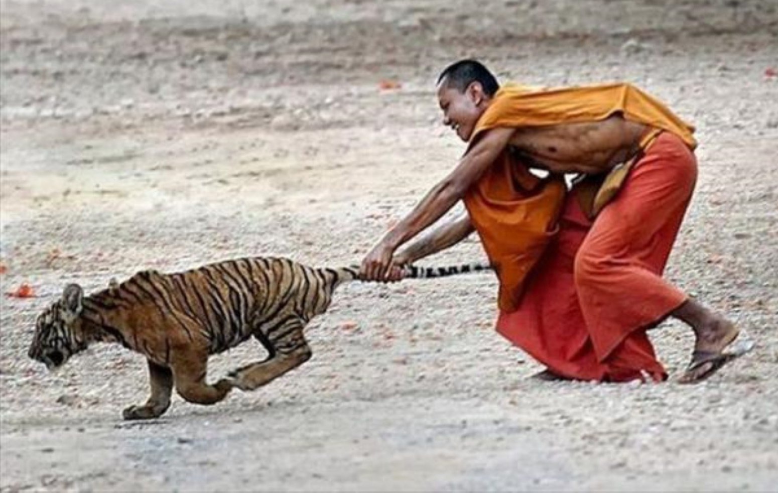 Анимация выздоравливай, прикольные картинки монахов