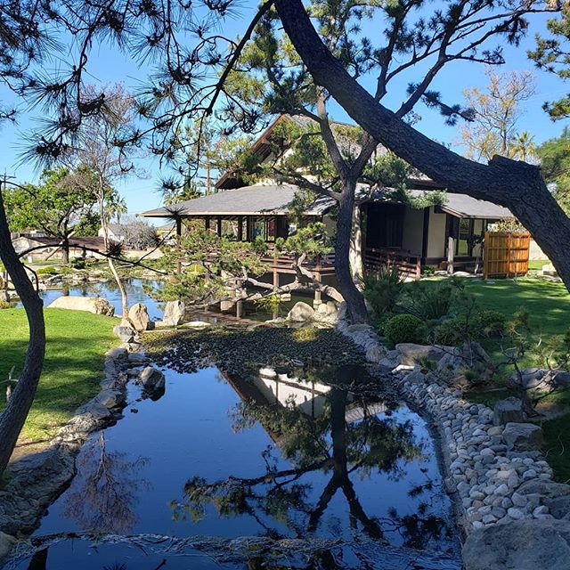 Help renovate the teahouse at: www.gofundme.com/shoseian-tea-house .
.
.
.
.
#teahouse #japan_of_insta #culture #event #cherryblossom #gofundme #brandparkhikingtrail #japanfoundation #friendsofshoseian #drums #family #garden #dancing #japan #glendale