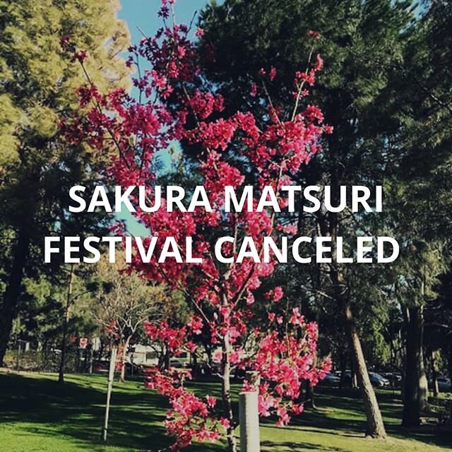 Regretfully, we must suspend all of the activities we had planned for this Sunday's Cherry Blossom festival, including the three indoor tea ceremonies.&nbsp; We have decided to cancel the three tea ceremonies to comply with the directions of Governor
