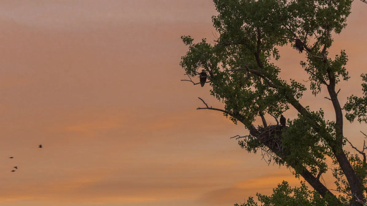 A Family Affair: Day Three, A Flying Lesson!