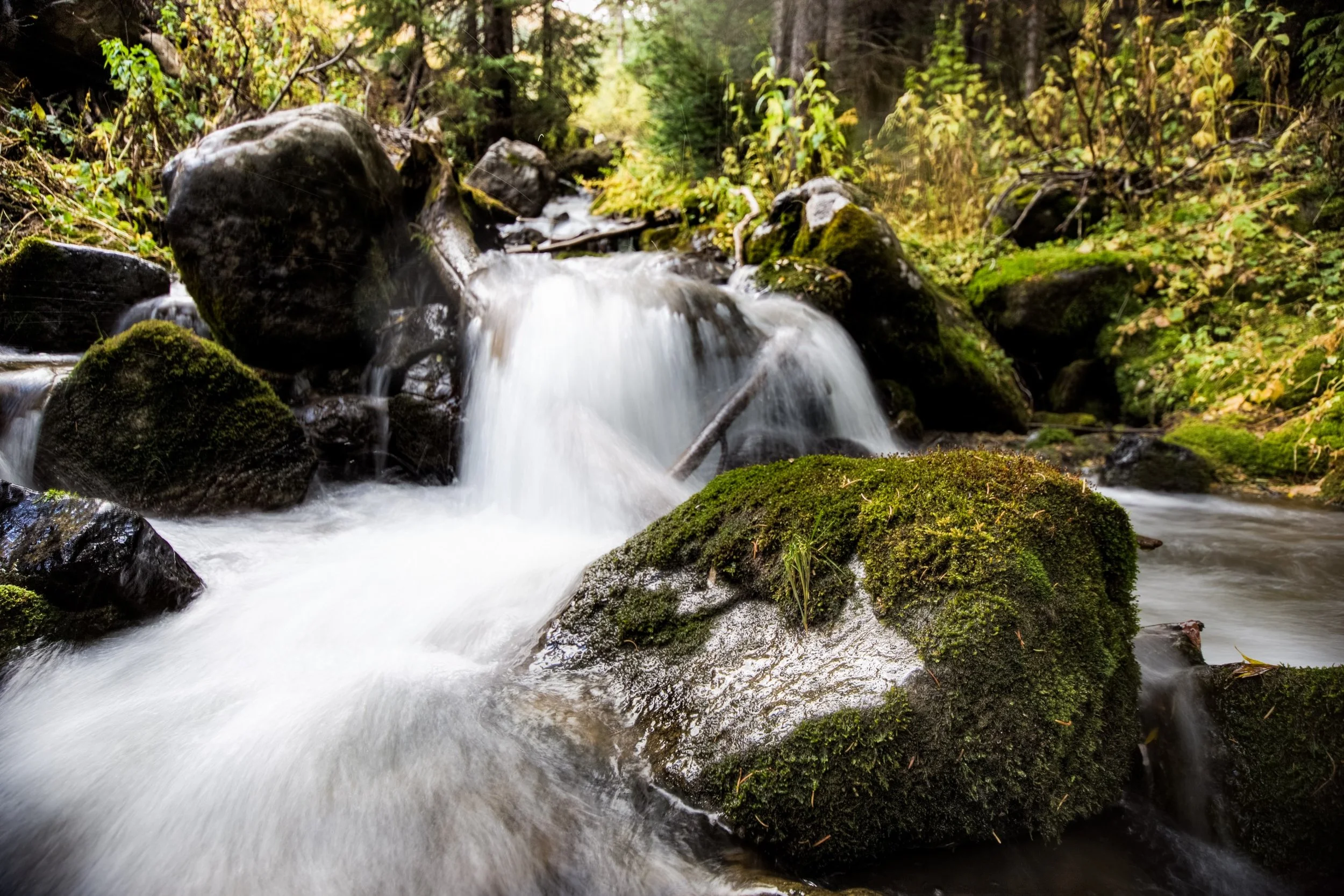 Area Spotlight: Silverton, Colorado