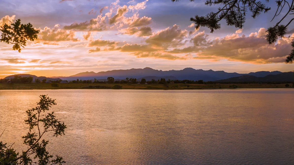 A Family Affair: In search of the Eagle Family