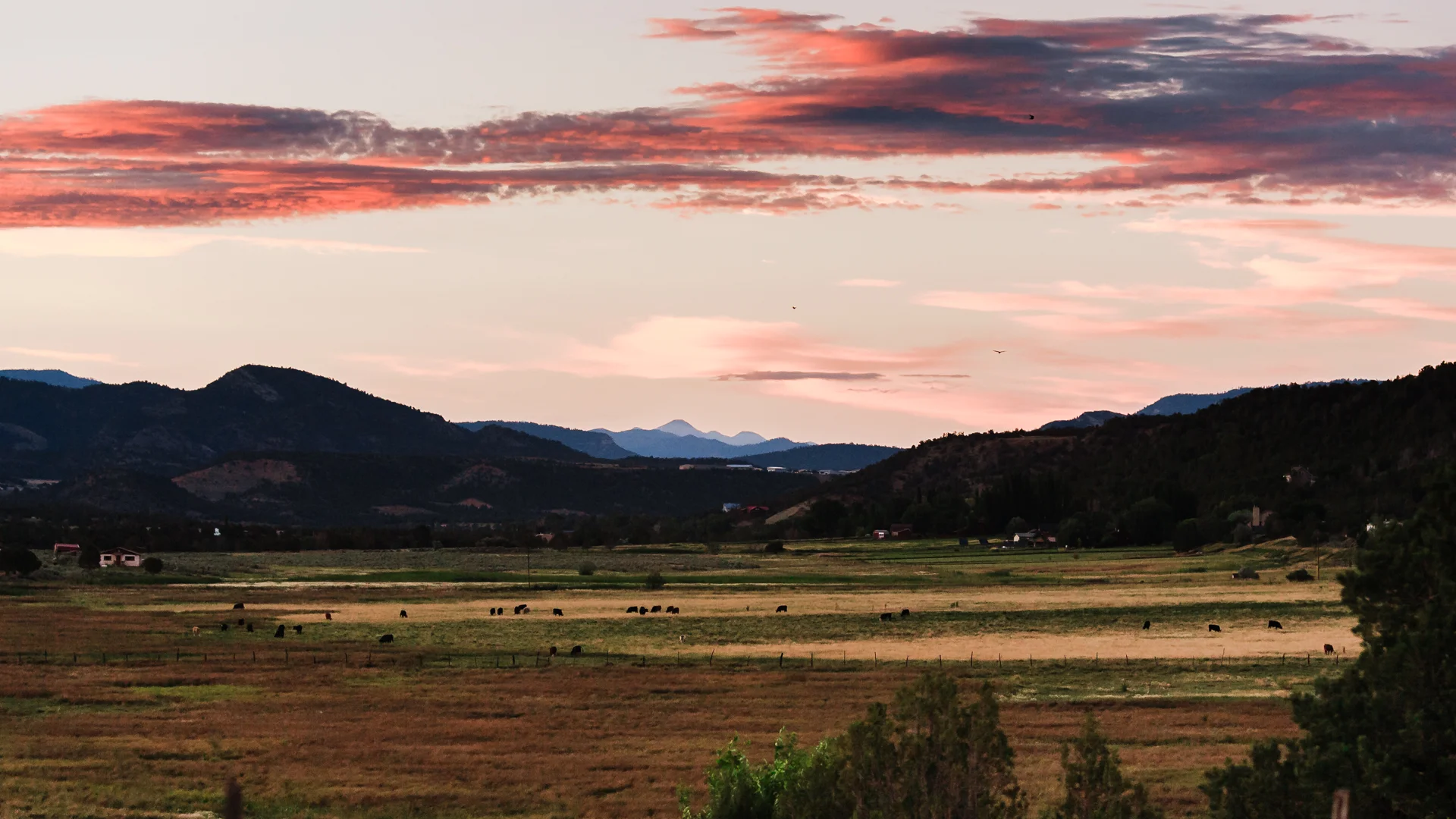 A Family Affair: A return Home!