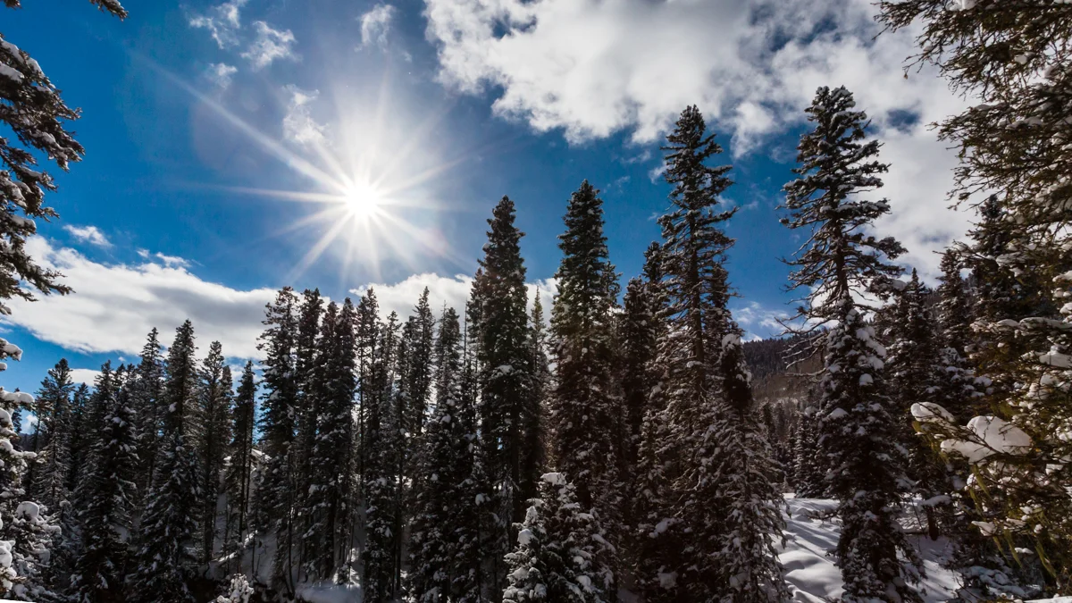 Training Day: A day with Durango Fire & Rescue