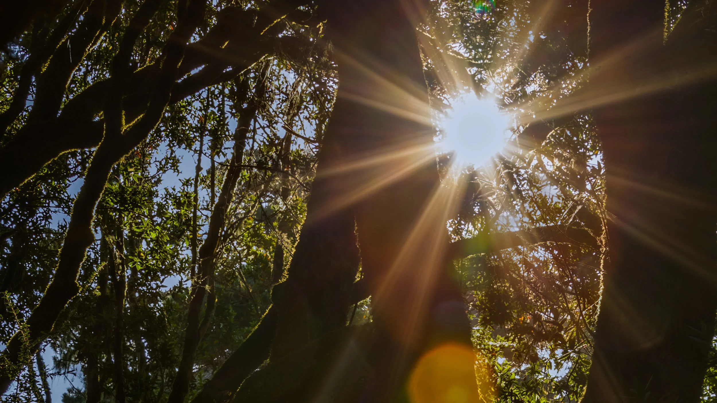 San Francisco, A Friendly Gathering: Day 1