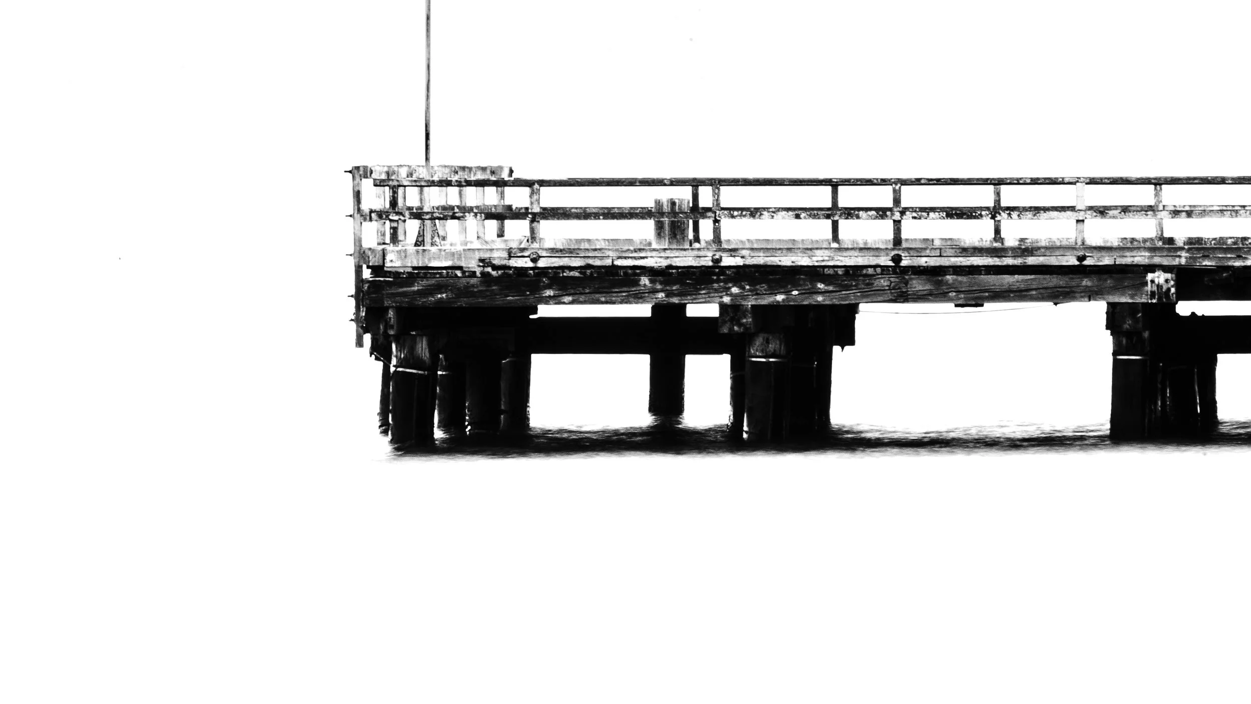 San Francisco: The Final Day and Part II of Shark Fin Cove