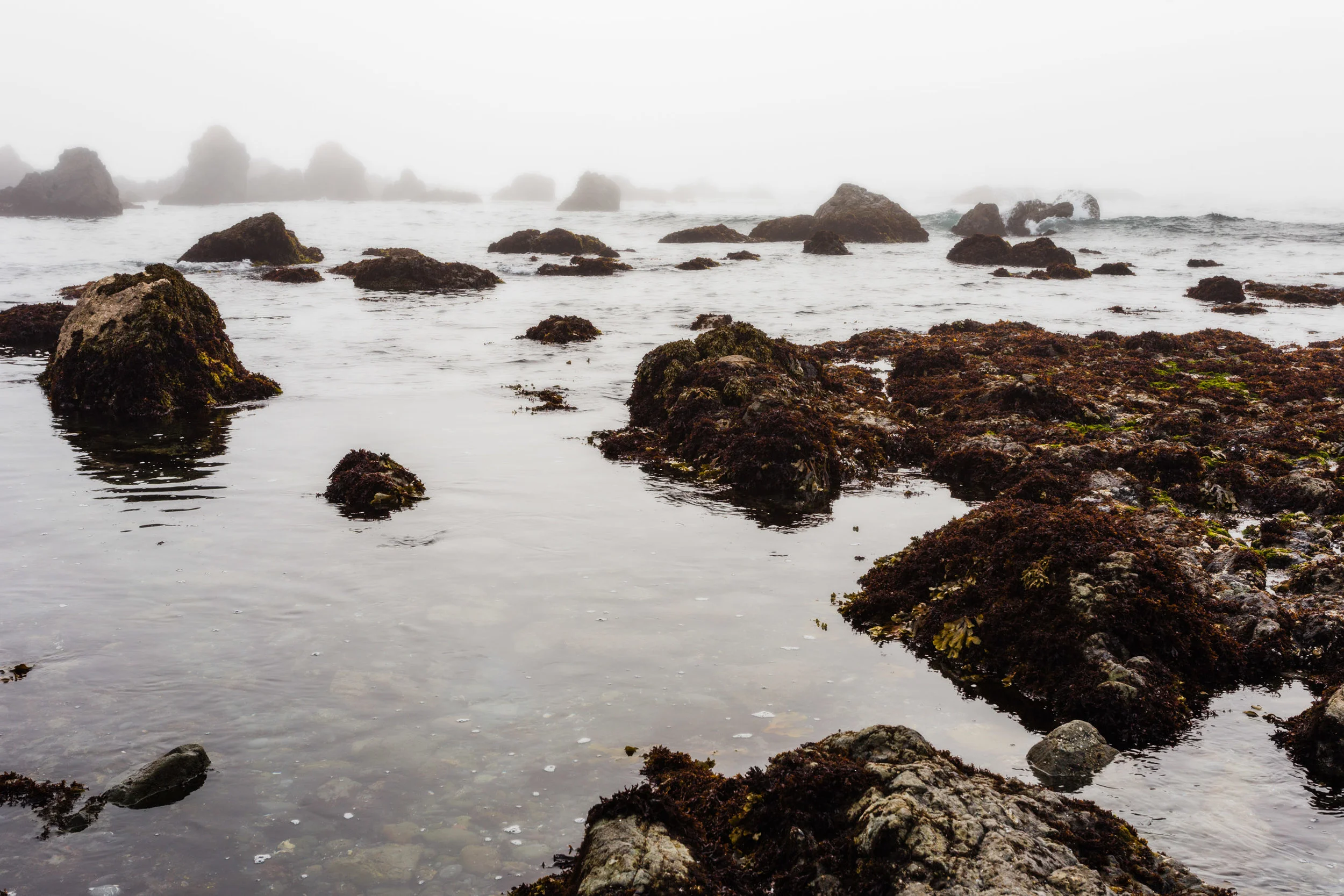 Galactic50: Day 19 MacKerricher SP