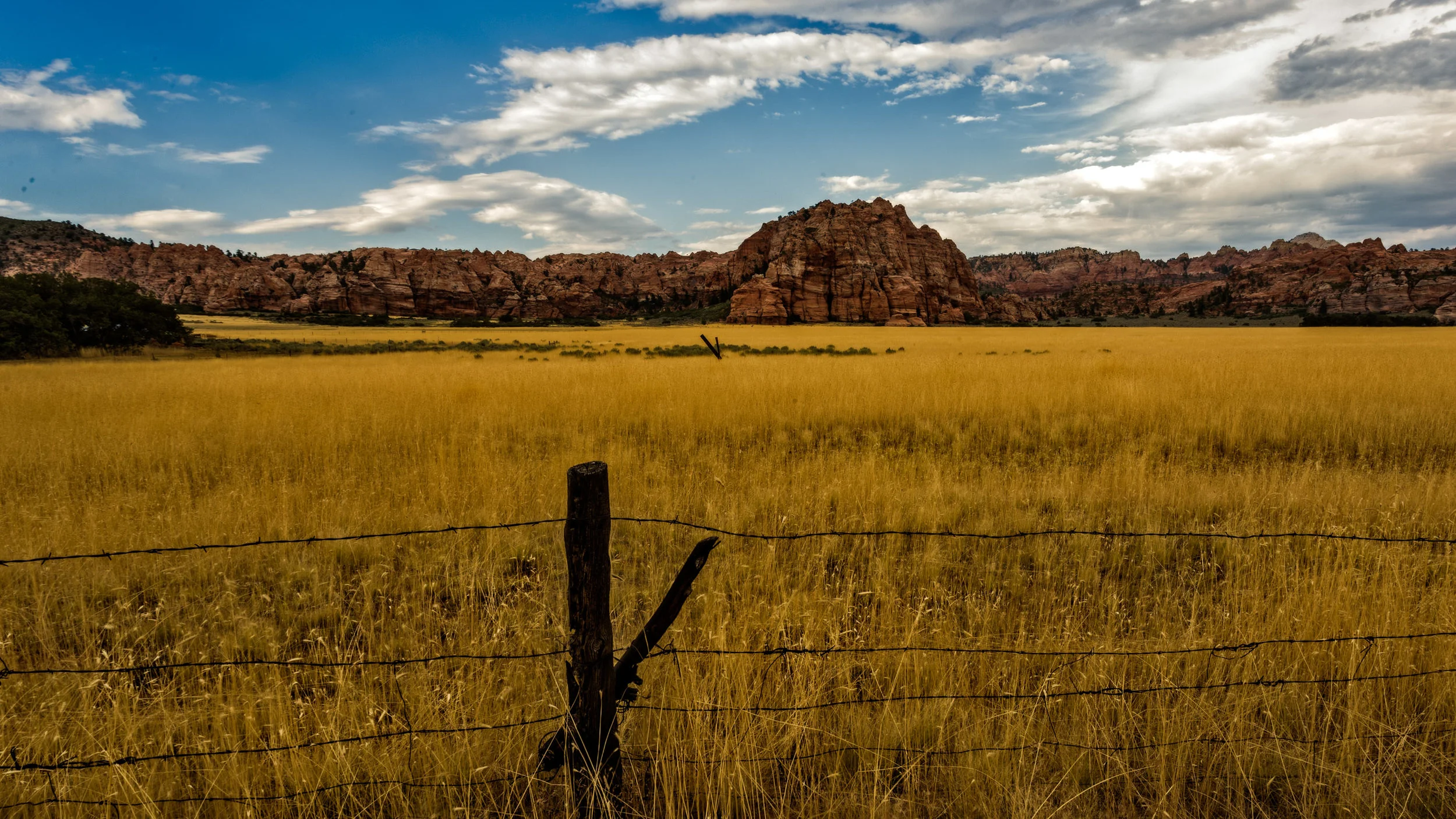Galactic50: Day 27-33 Zion National Park!