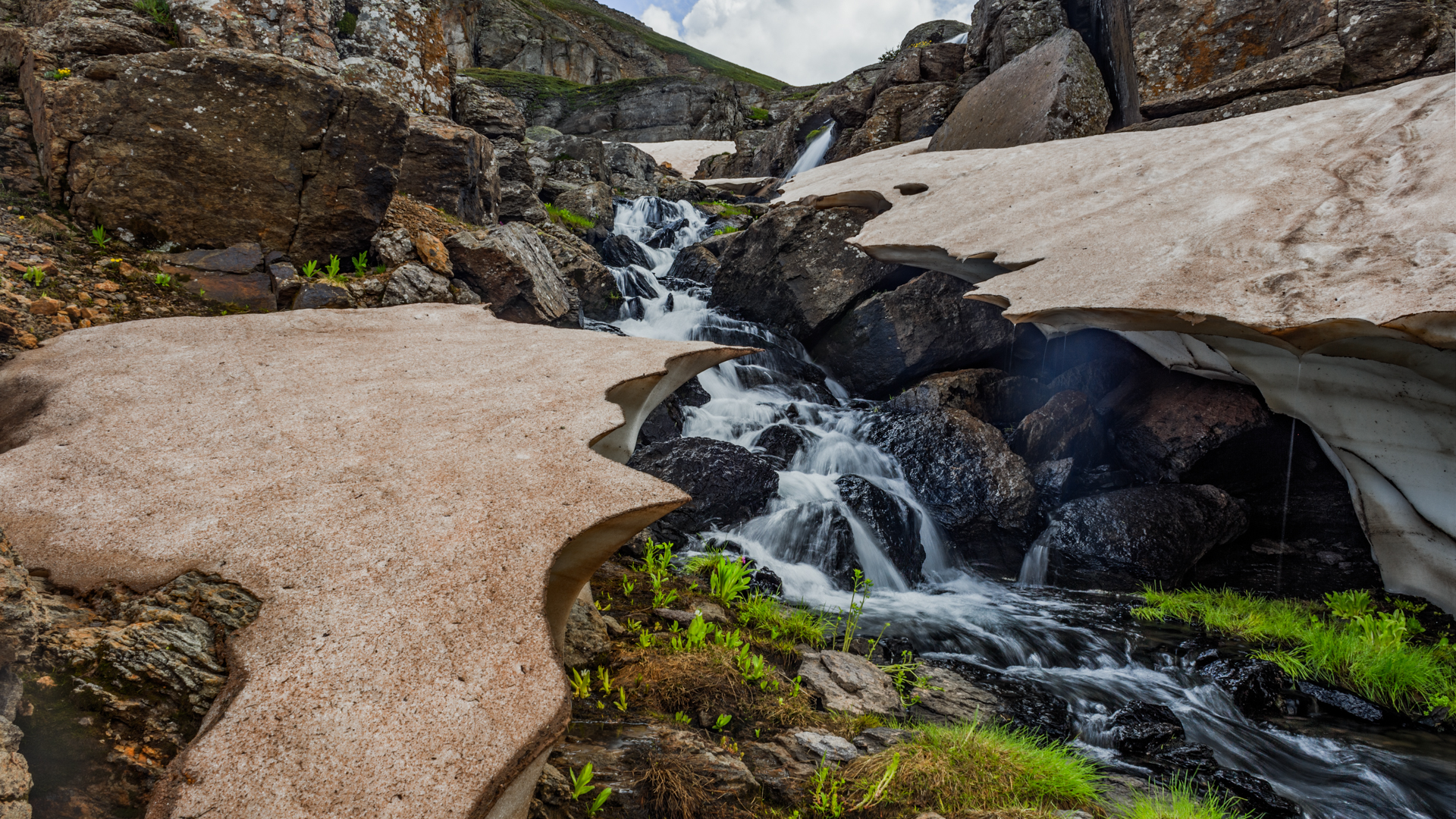 header-1-7.jpg