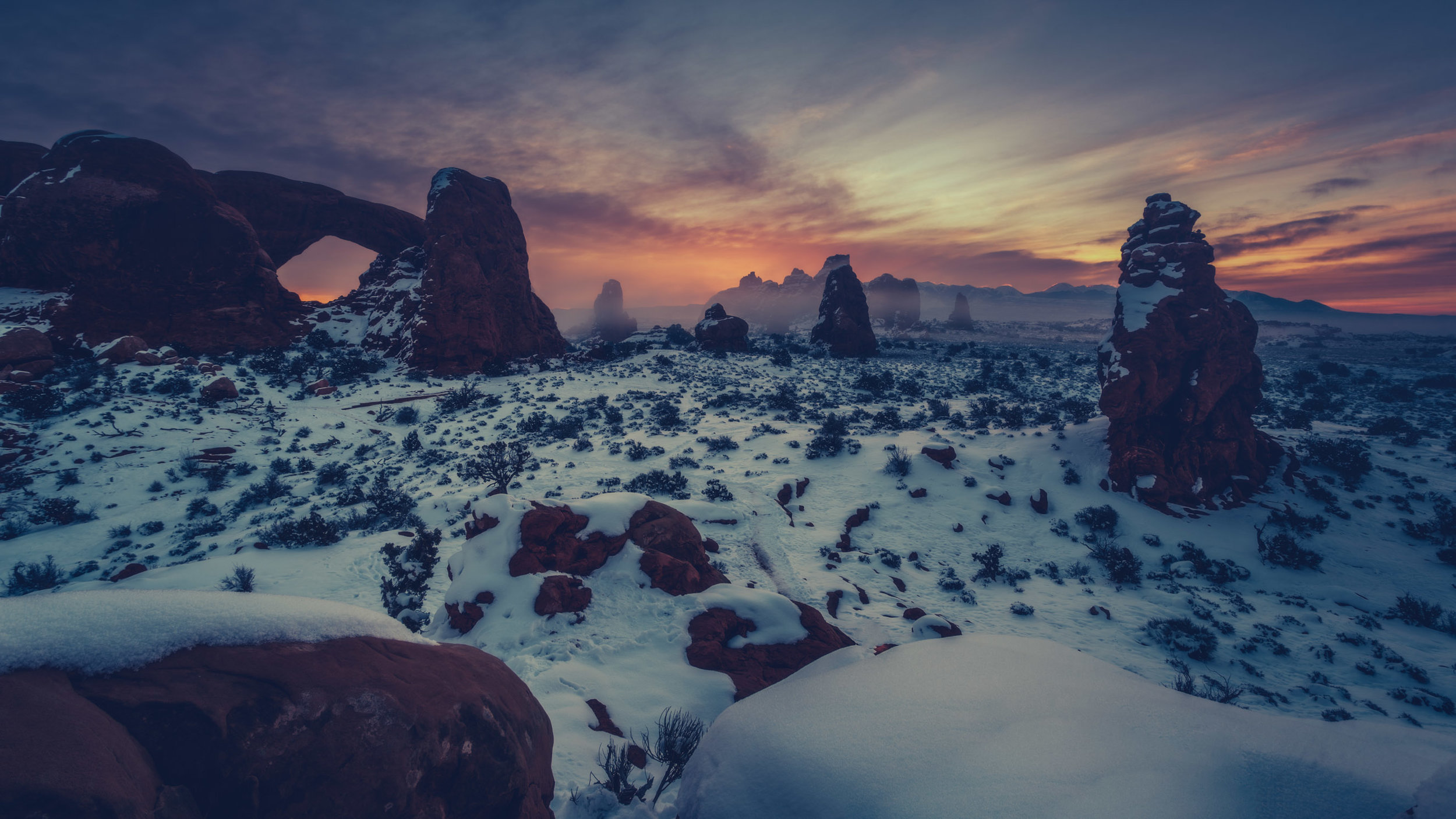 WP_Header-2.jpg