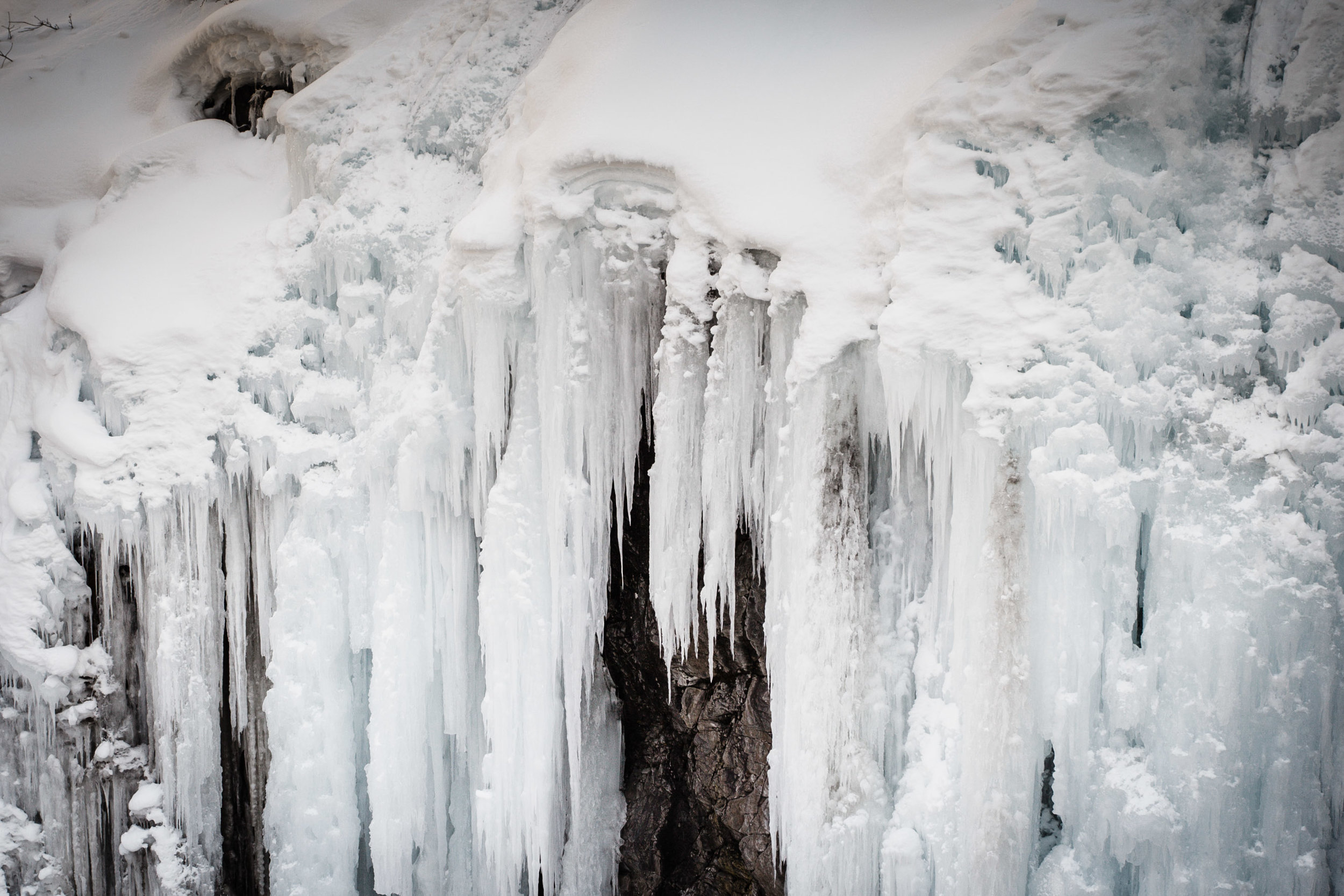 WP_Header-0406.jpg