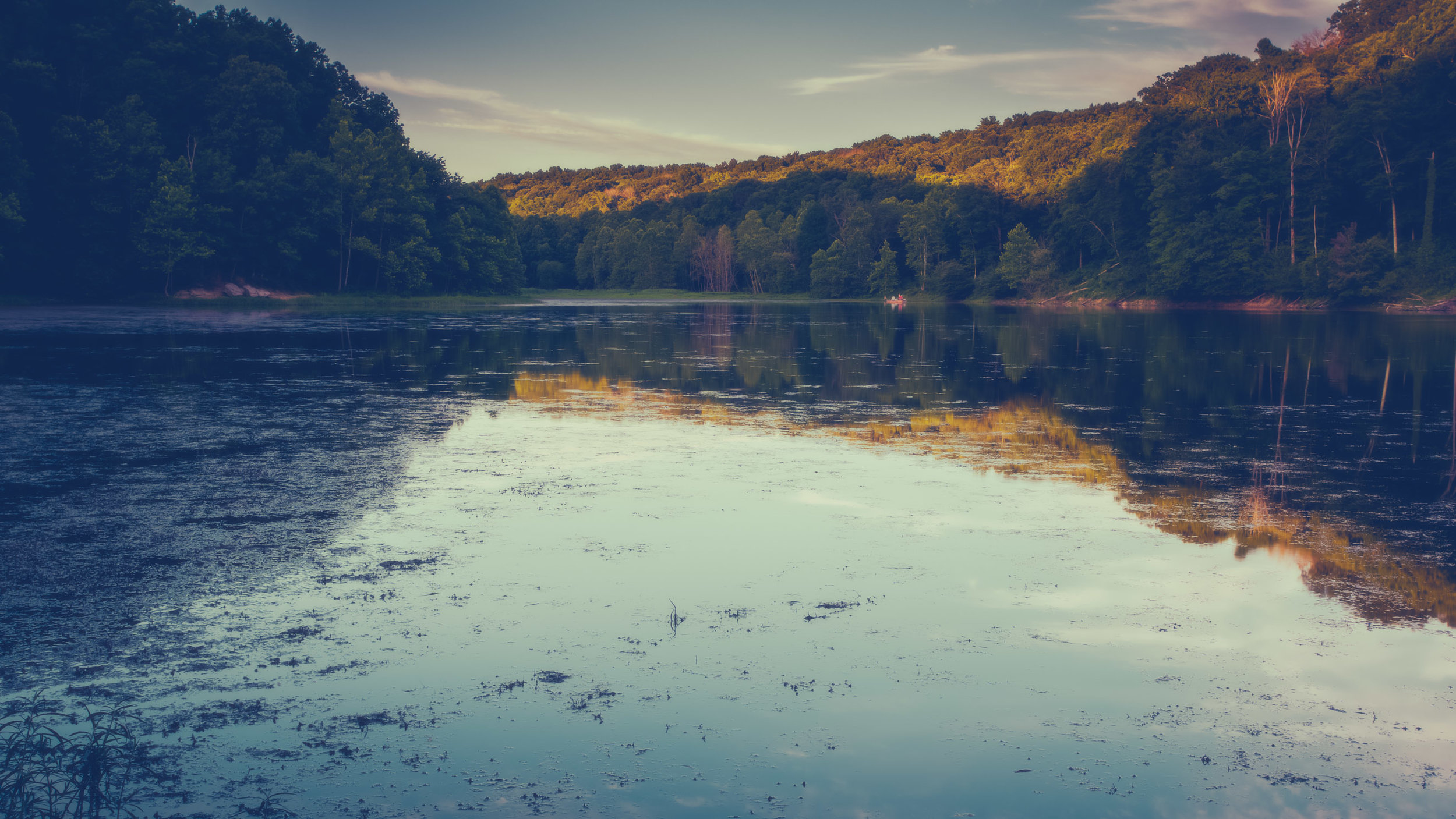 WP_Header-4469.jpg