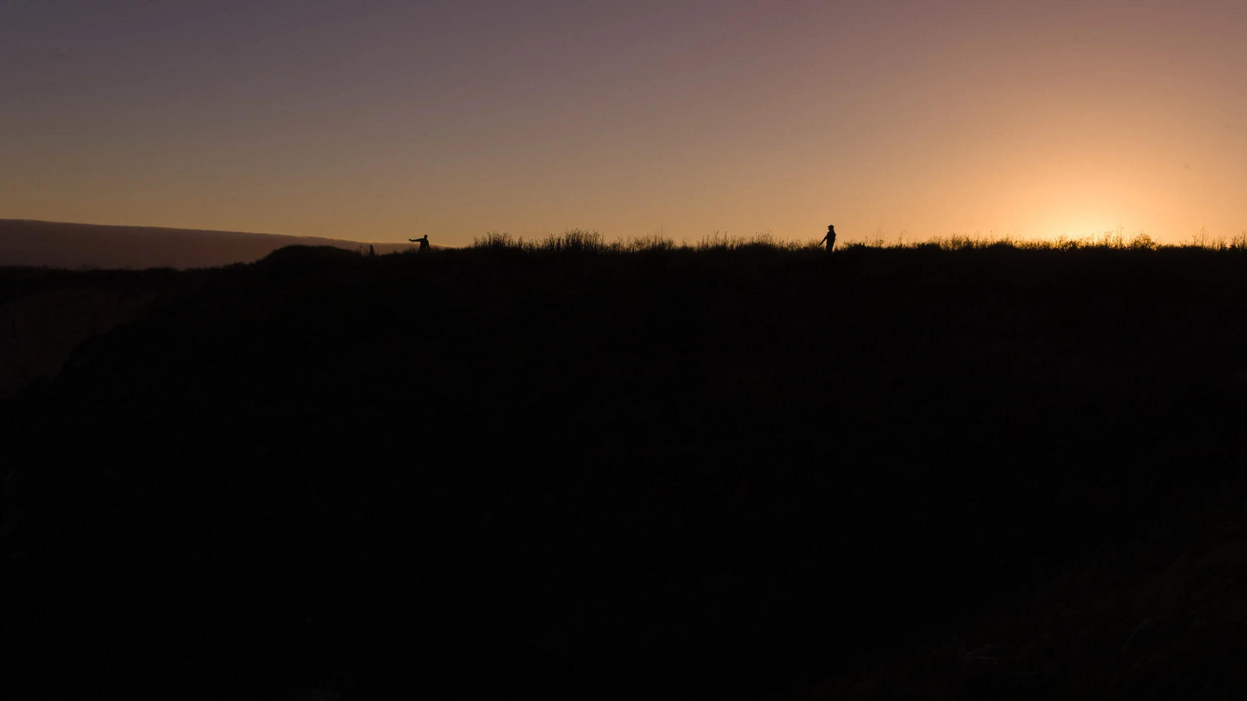 WP_Header-9071.jpg