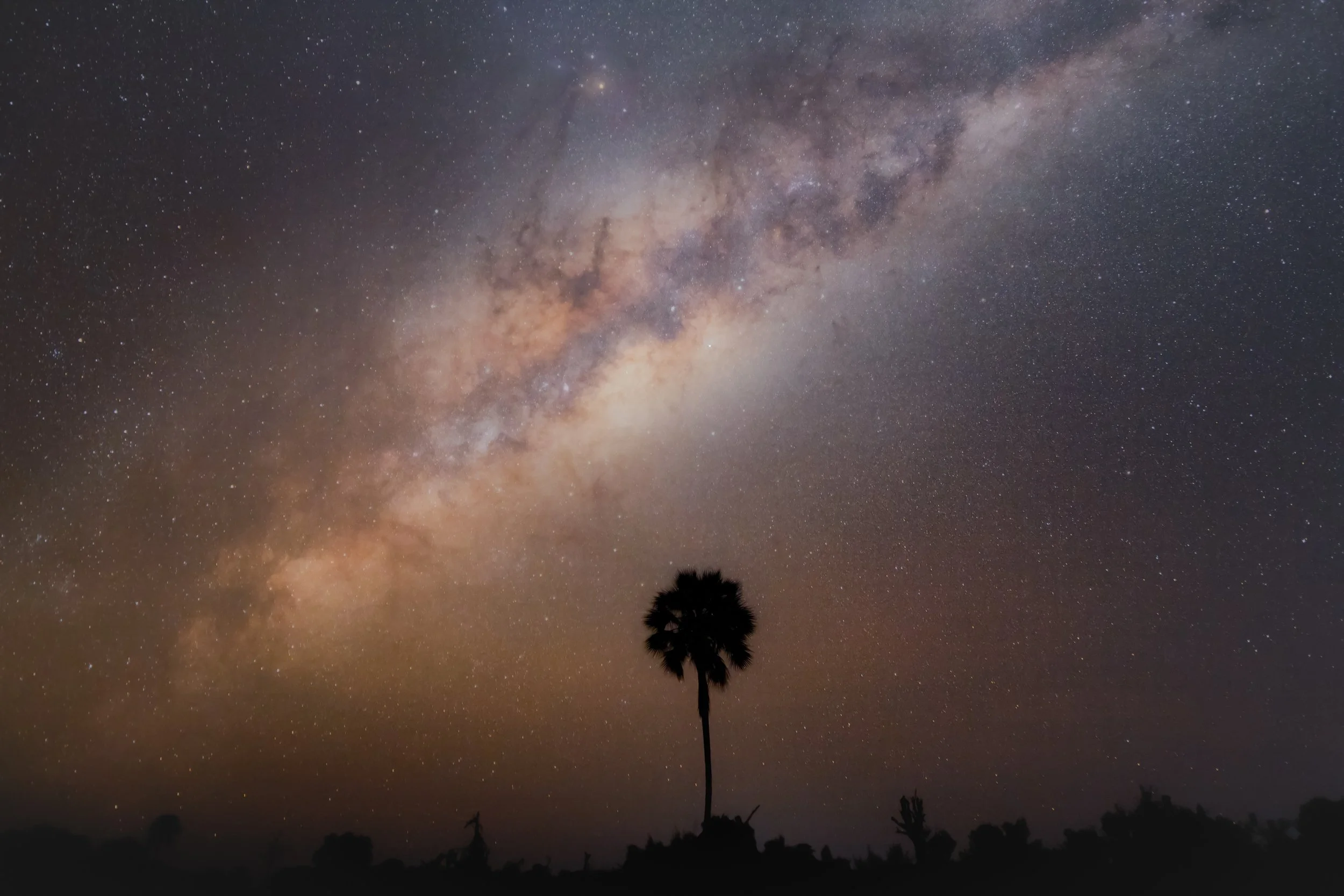 A tree among the galaxy