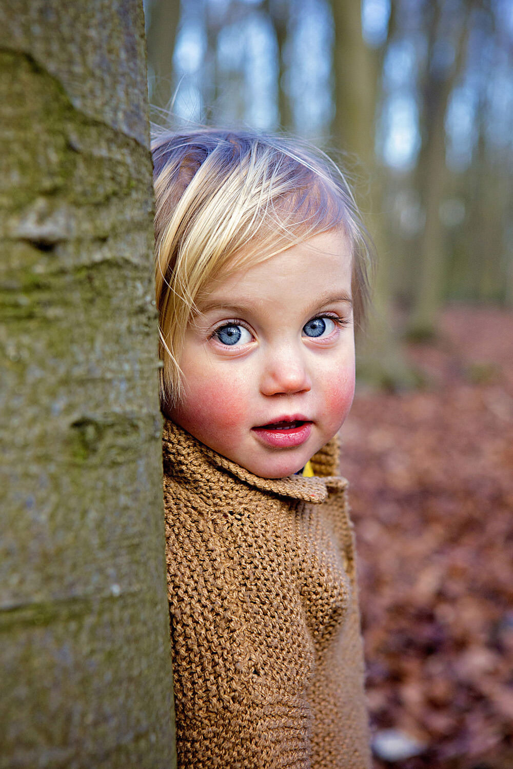 The best time of year for family photos  (7).jpg