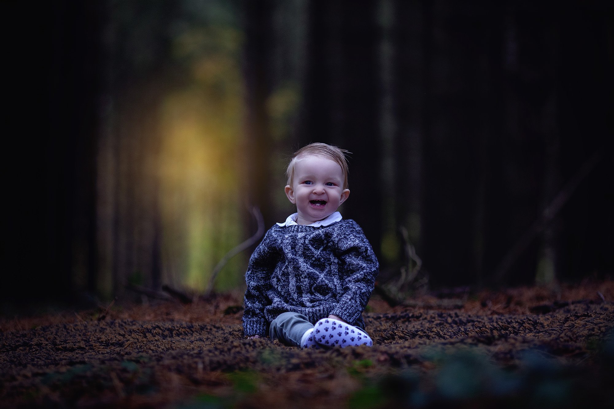 Small boy in the woods