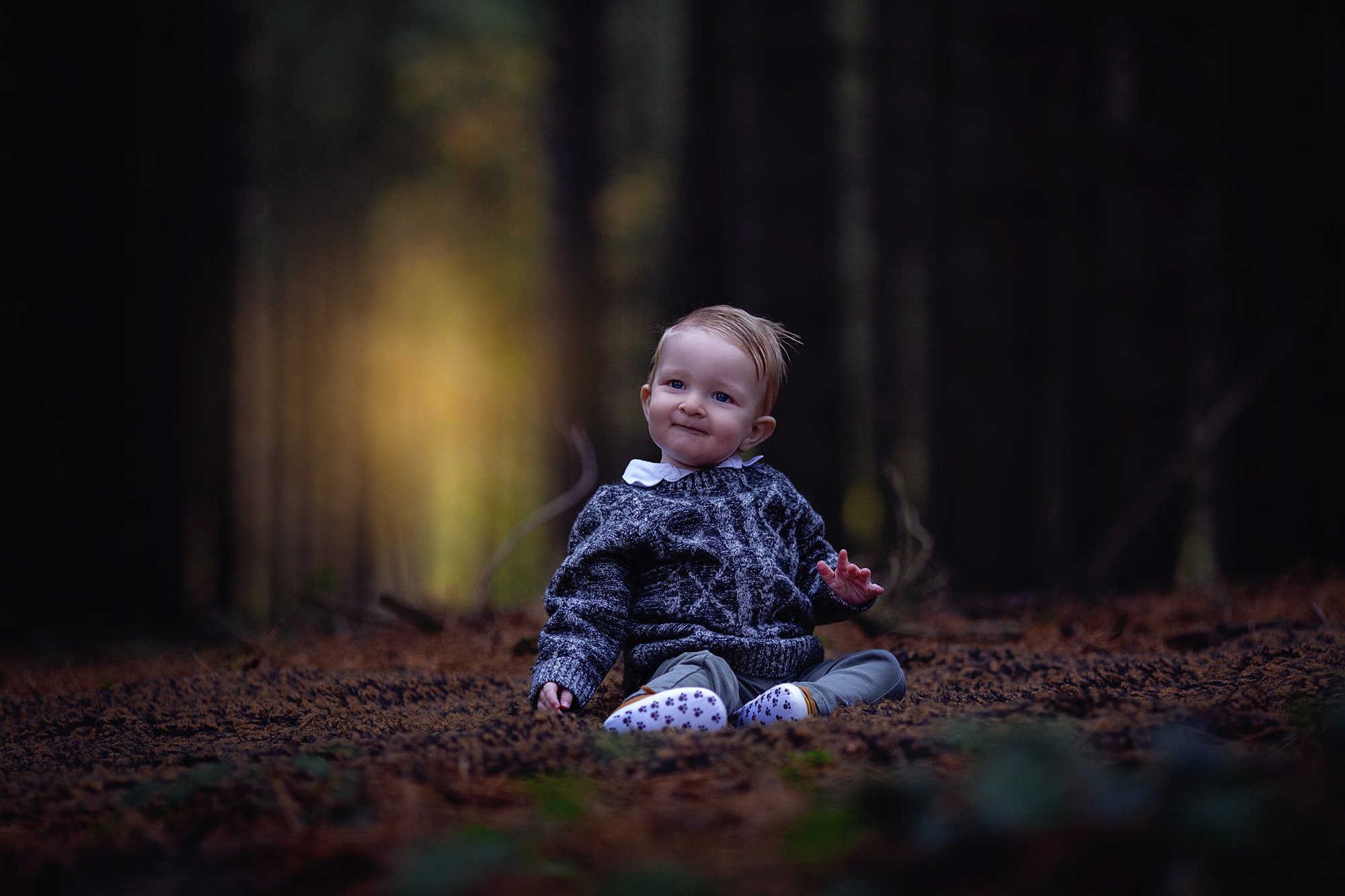 Toddler sat in the woods