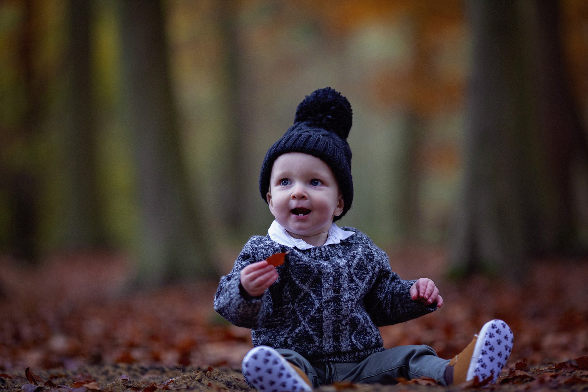 Toddler photoshoot in Autumn leaves