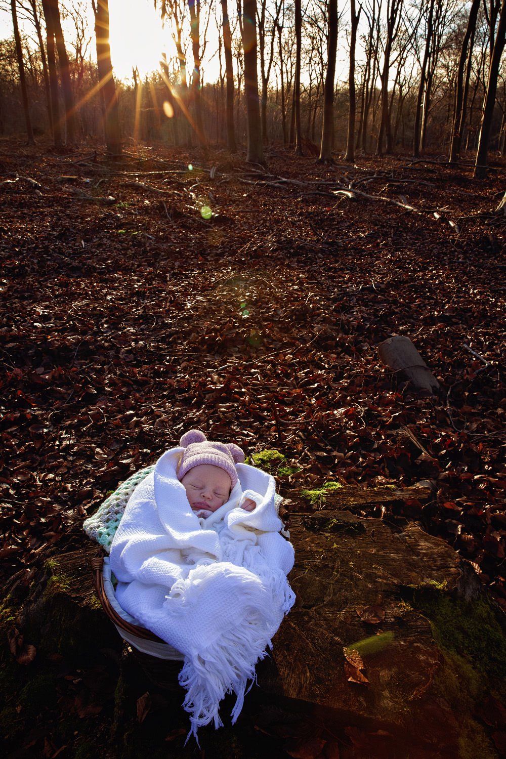 newborn in the winter woods