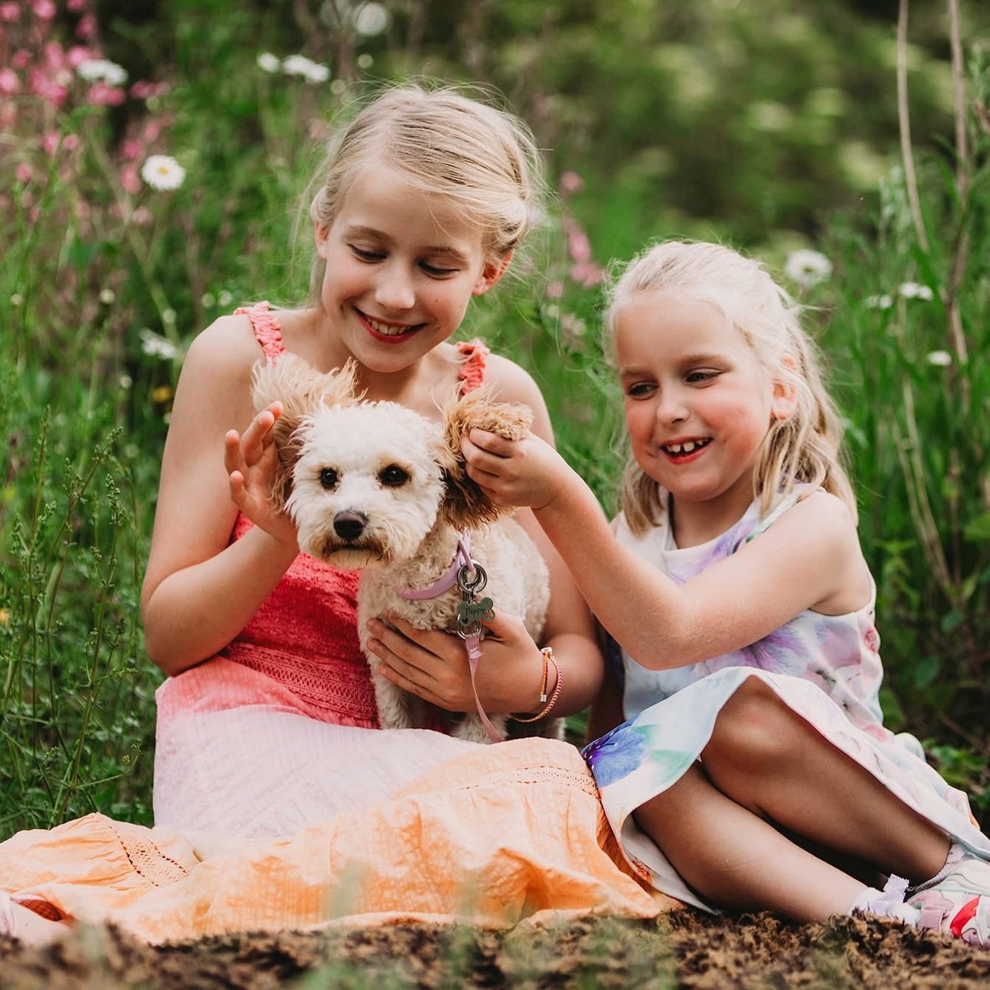 Well it doesn&rsquo;t get much better than having a few giggles on a beautiful summer&rsquo;s evening in a meadow with a puppy and a lively young family. 
Meet the Webb family on their 3rd rampage in the wilderness with me...
.
.
.
.
.
#summermeadow 