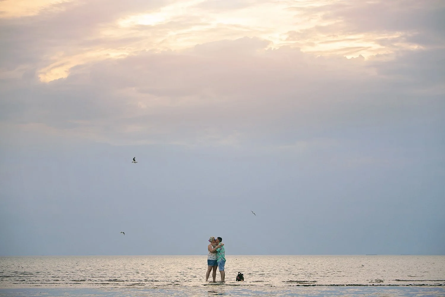 A couple embracing on the beach during sunset, with seagulls flying in the sky and the ocean in the background.