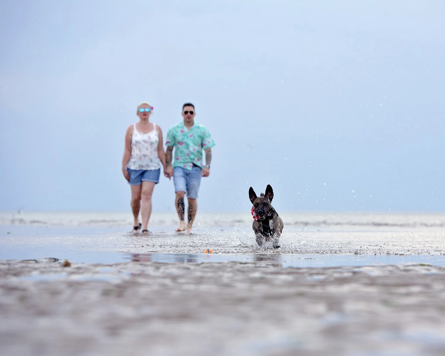 engagement photoshoot 062.JPG