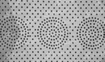 3358DA1A-6D4D-4310-8CCE-62189C7D87B3