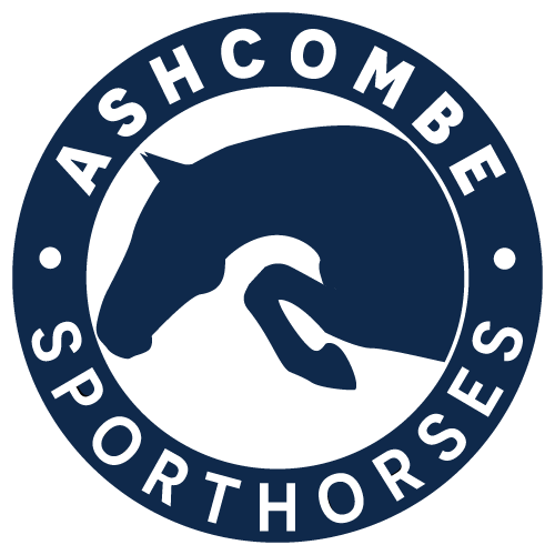 Ashcombe Sporthorses