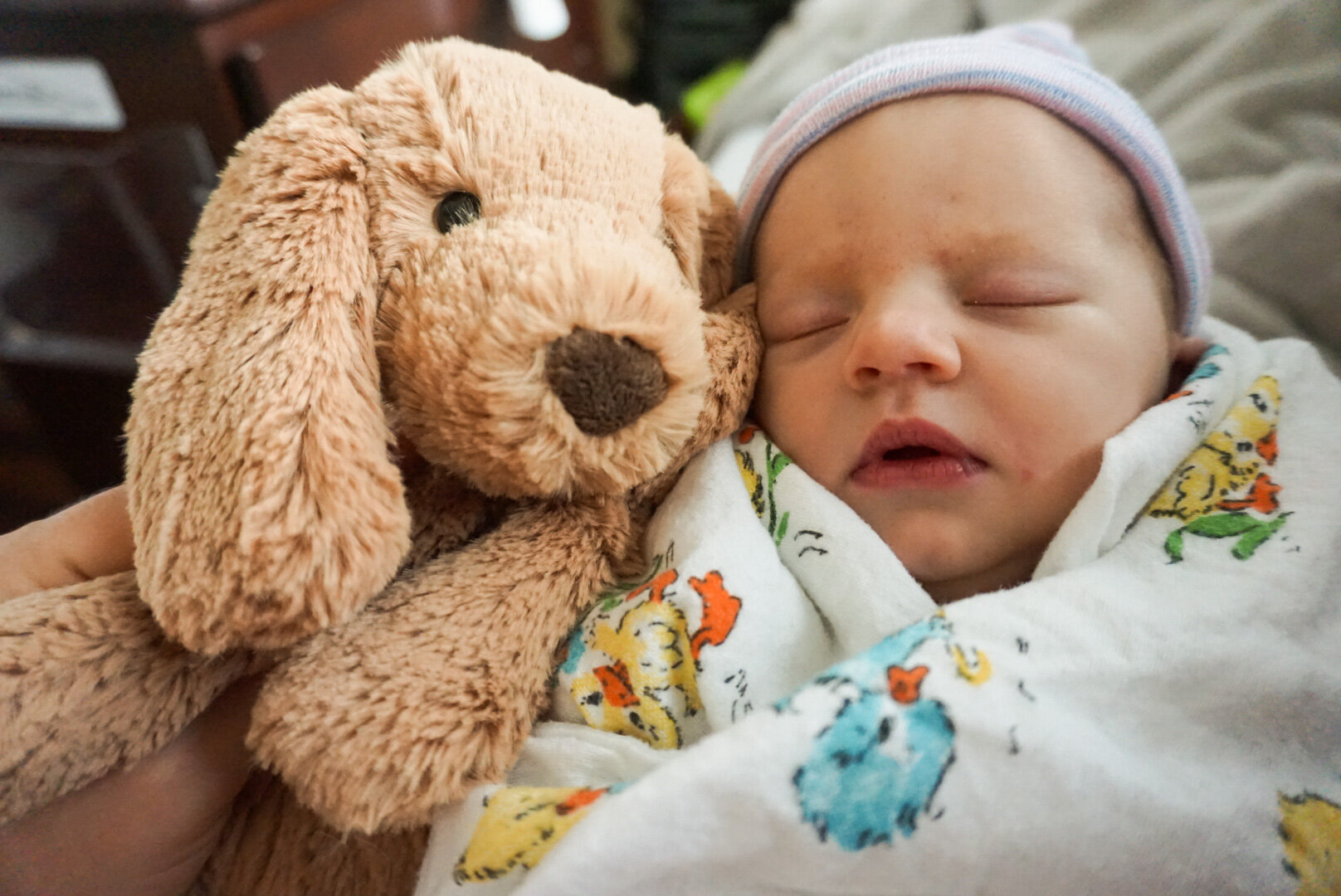 Meet Our Baby
