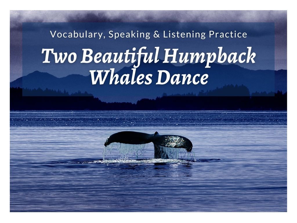 thumb-two-beautiful-whales-dance.jpg