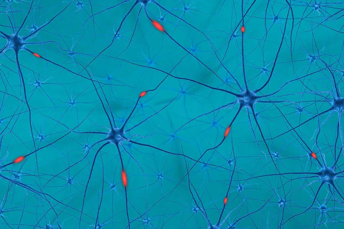 The Growing Global Ecosystem for Compassionate Leadership