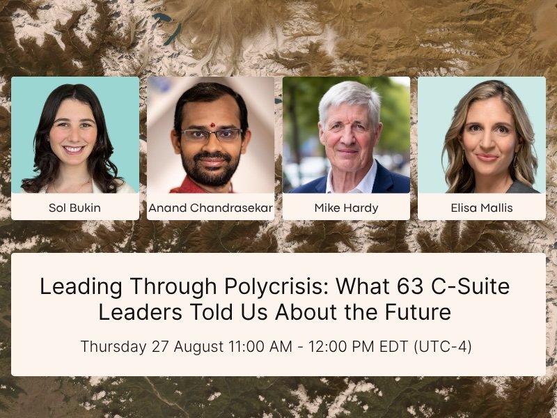 Leading Through Polycrisis: What 63 C-Suite Leaders Told Us About the Future
