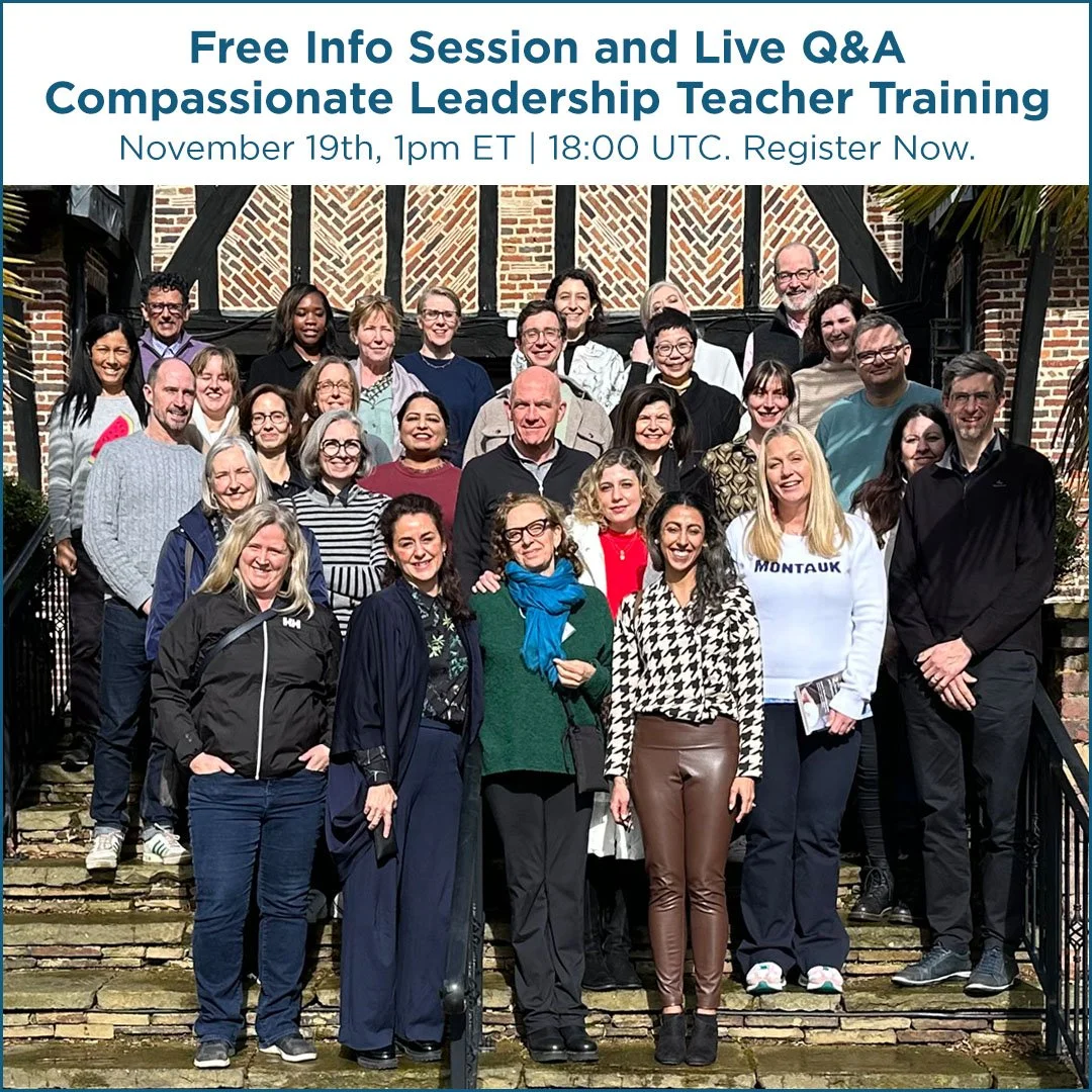 Website Program visuals_TT Info Session November_v2_1080x1080.jpg