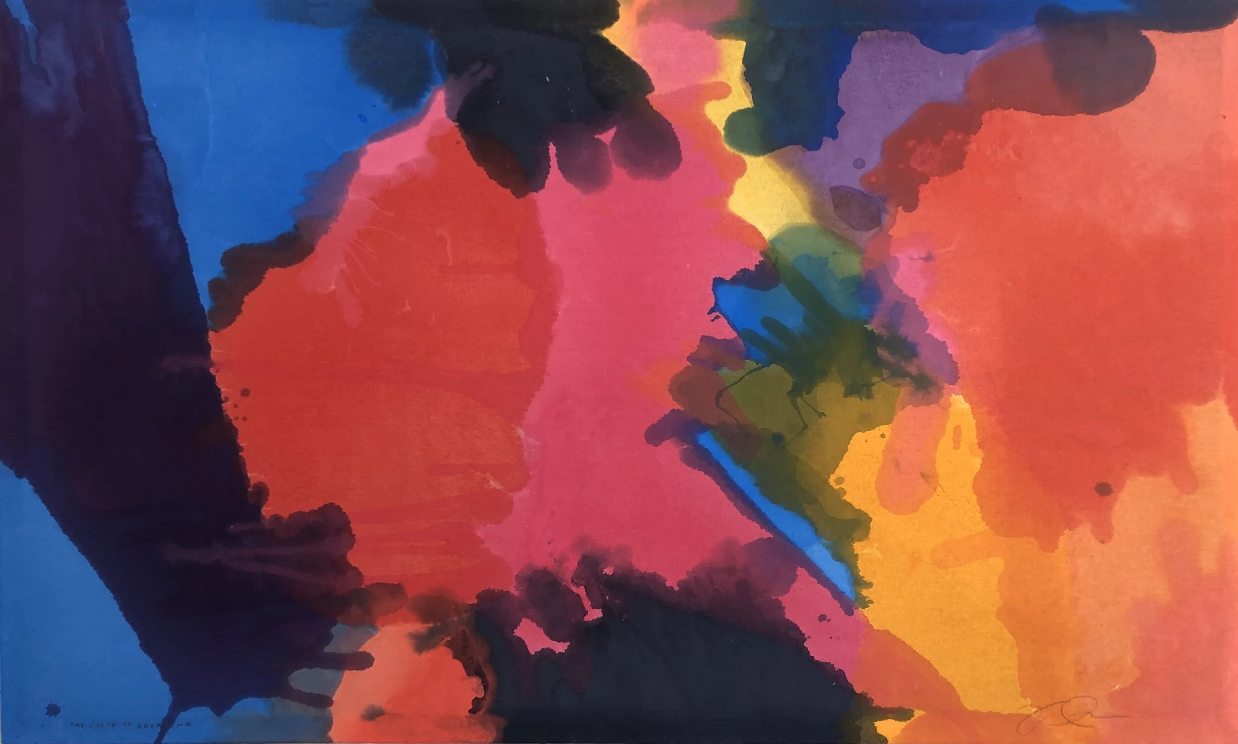 THE COLOR OF DREAMING: NO 1.
