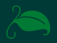 ficus shoot.png