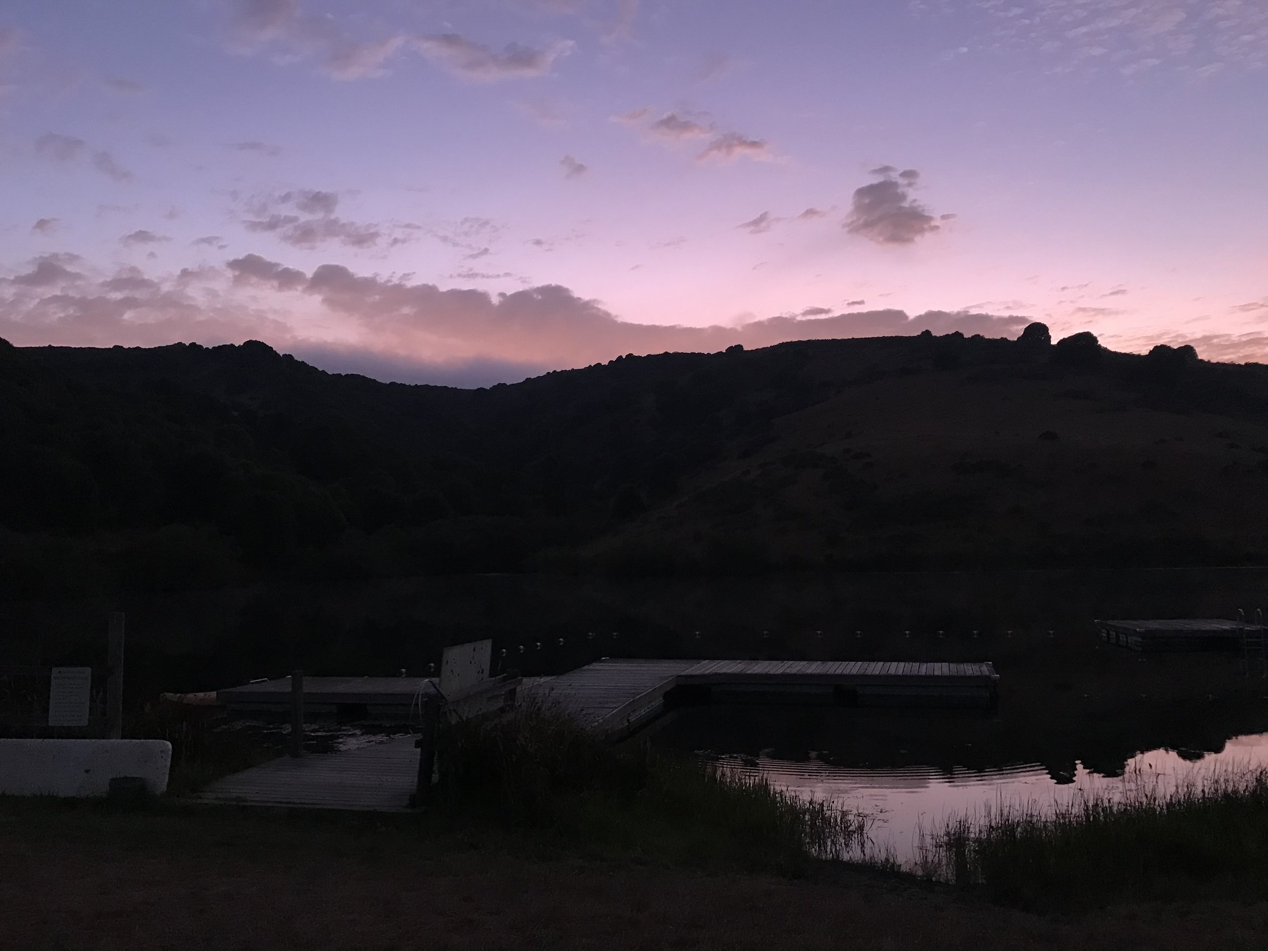 Day 7: Night in Nature