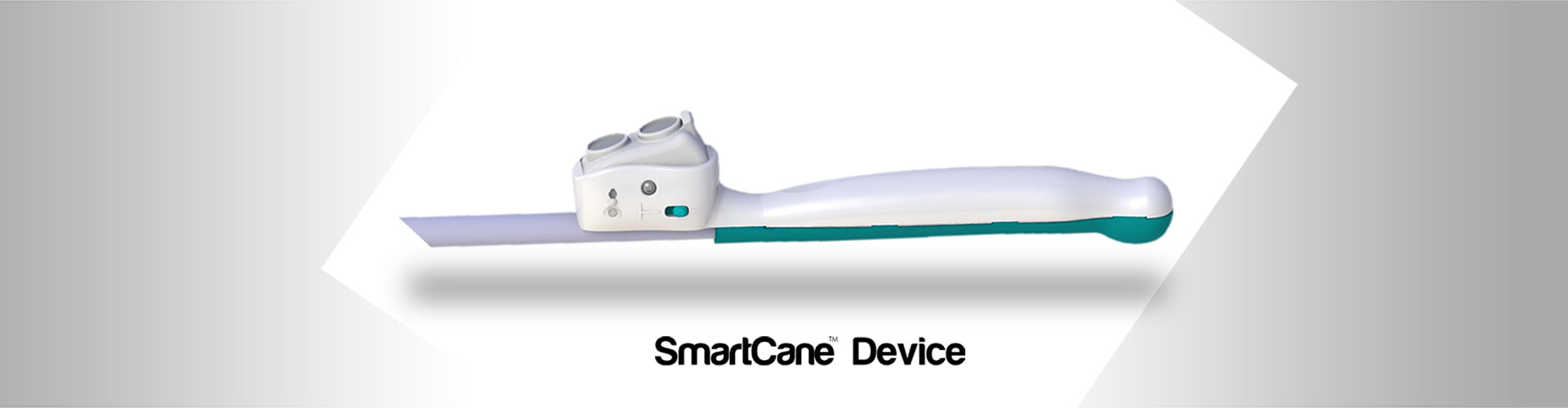 SmartCane