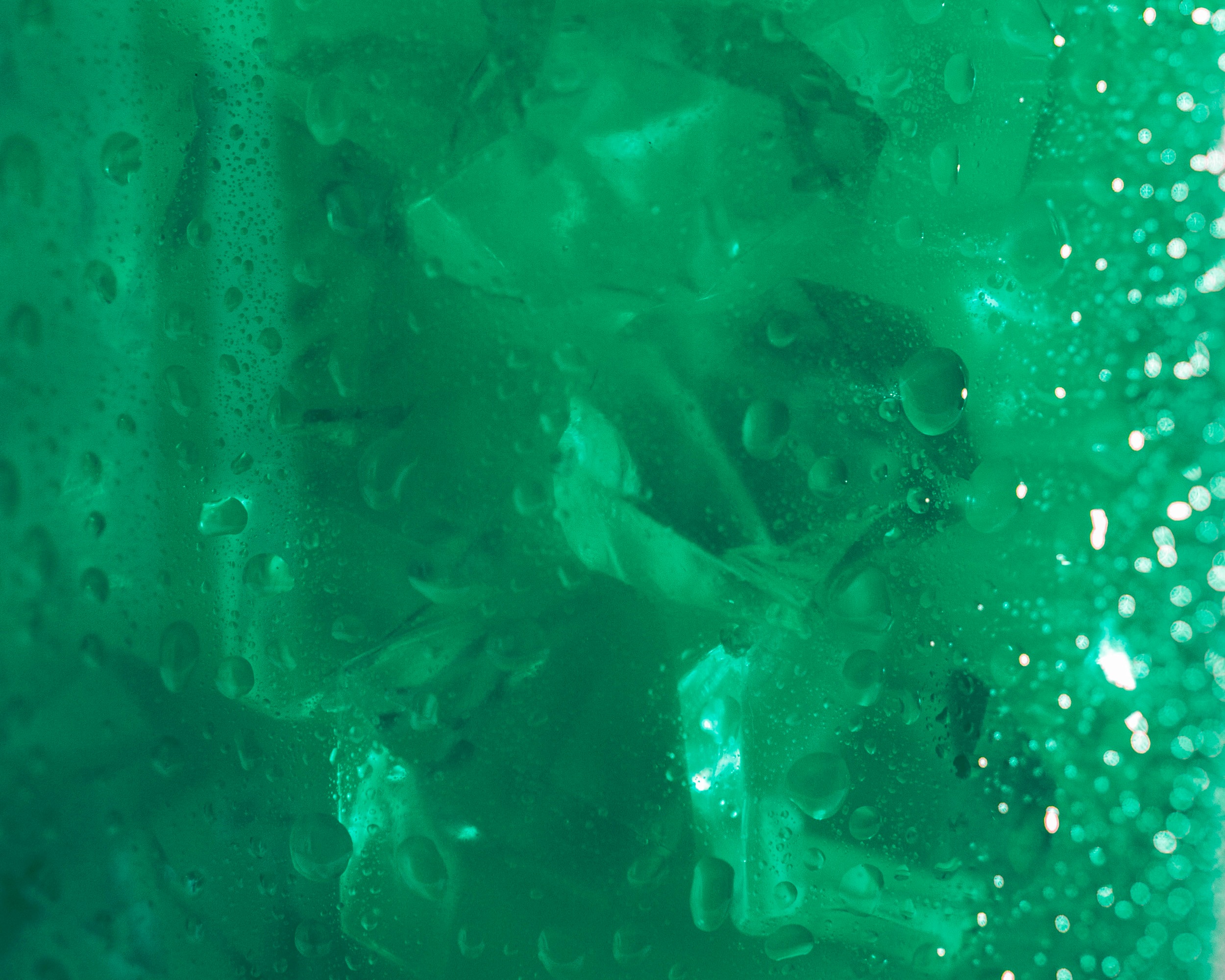 CUGreenWeb.jpg