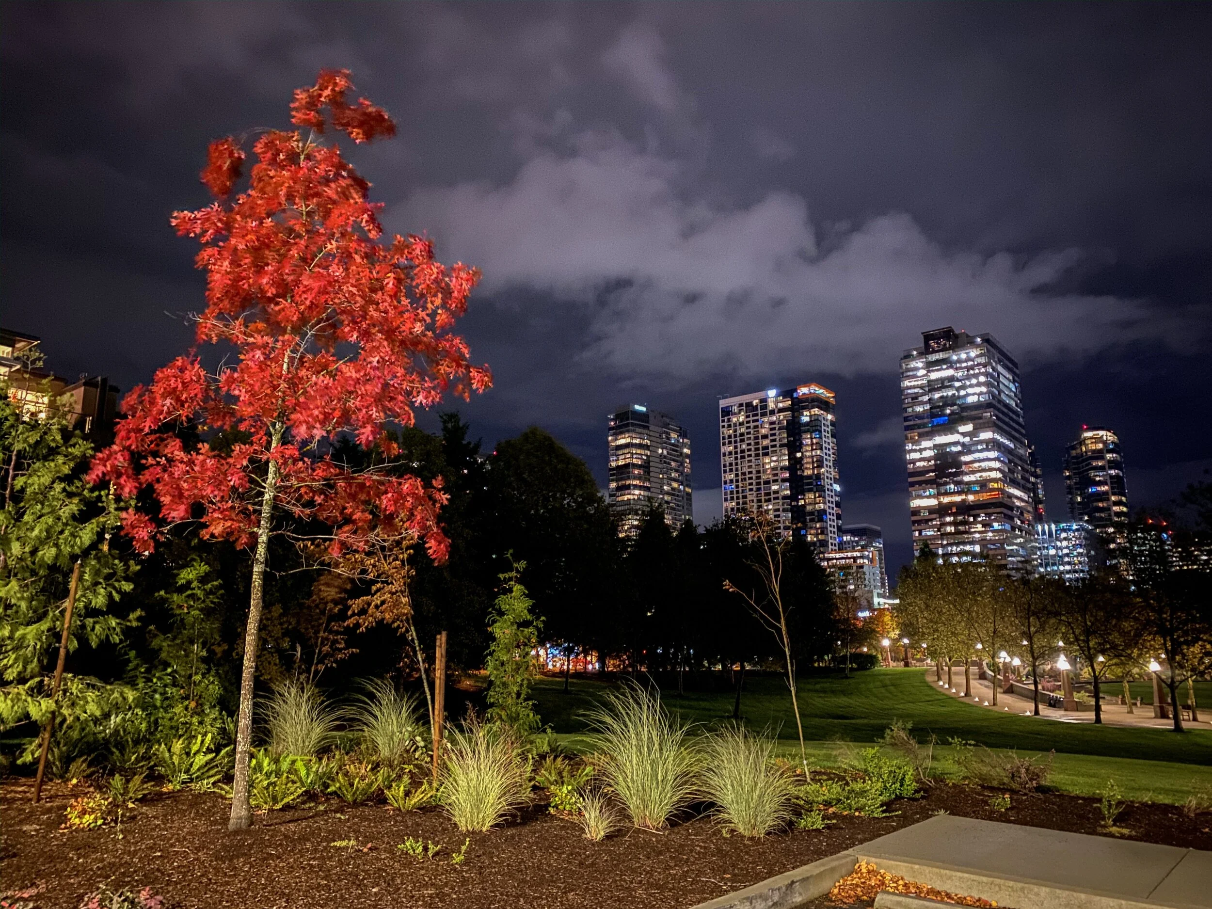 Downtown Bellevue Park — Photo a Day Kevin Brice