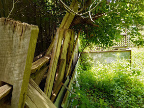 BEFORE - fence at Oatley.jpg